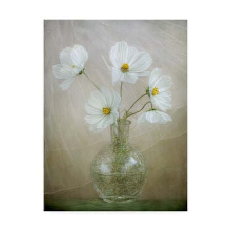 Mandy Disher 'Cosmos Breeze' Canvas Art,24x32